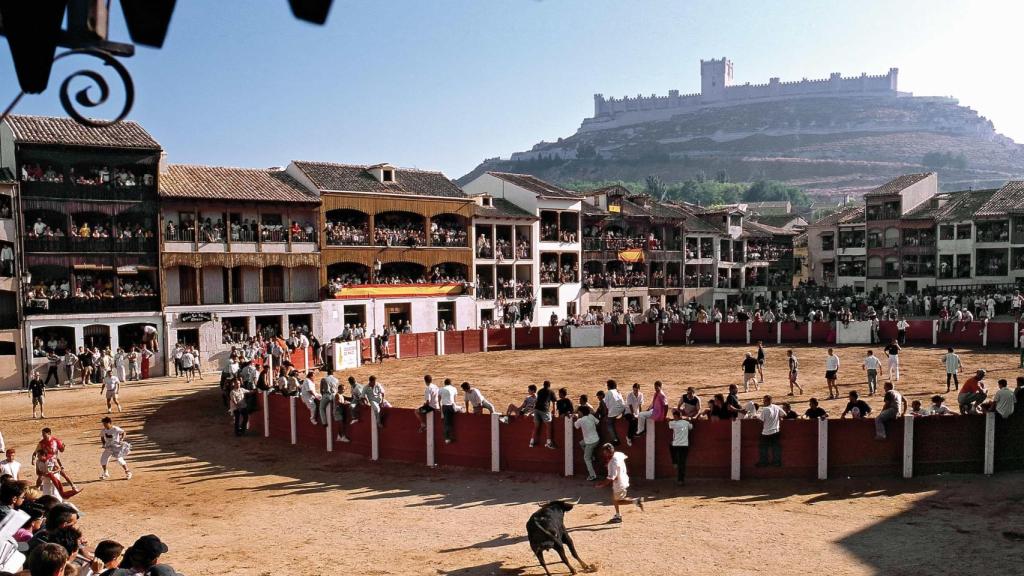 Fiesta de Nuestra Señora y San Roque en Peñafiel