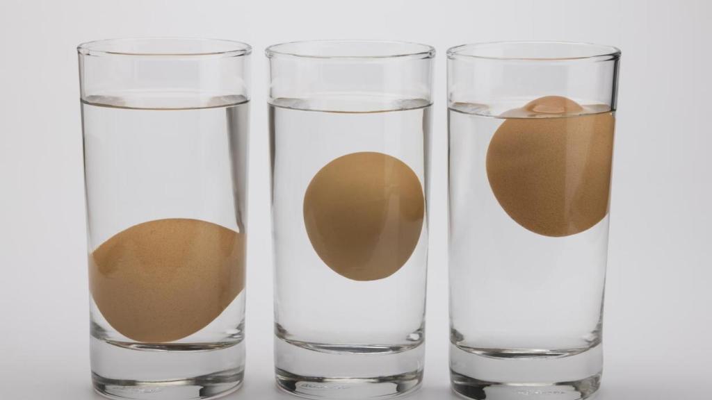 ¿Cómo saber si un huevo es fresco? Con sumergirlo en agua no basta