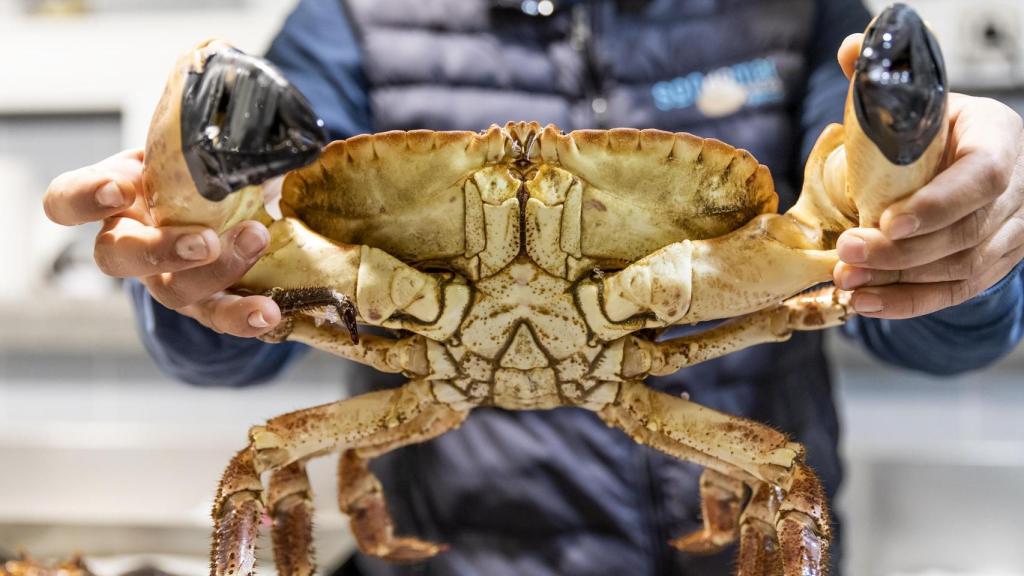 Los mercados de A Coruña tienen producto fresco de calidad.