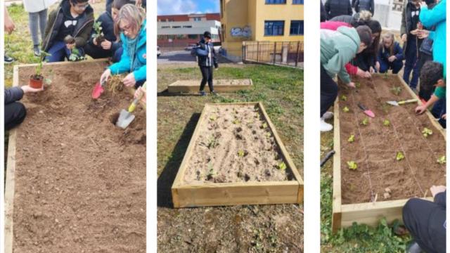 Programa de Huertos Escolares de Zamora