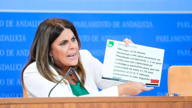 La portavoz del PSOE en el Parlamento andaluz, Ángeles Férriz, en rueda de prensa.