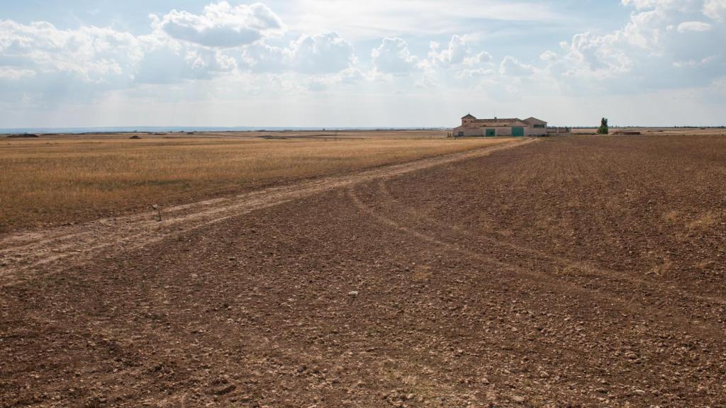 Vista de un campo de pasto en La Mancha.