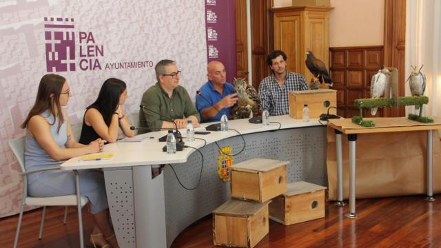El Gobierno municipal de Palencia informa sobre la plaga de palomas en la ciudad