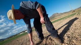 Un agricultor muestra tierra seca en Murcia.