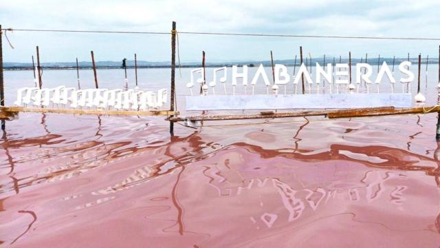 Las letras utilizadas para la exposición Entre las olas tatuadas, cuajadas en la sal de la laguna rosa de Torrevieja.