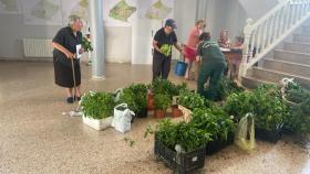 Donación de plantaciones en San Vitero