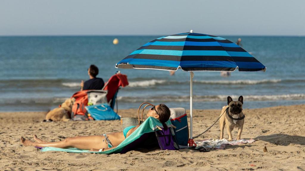 Imagen de archivo de un perro con su dueña en la playa.