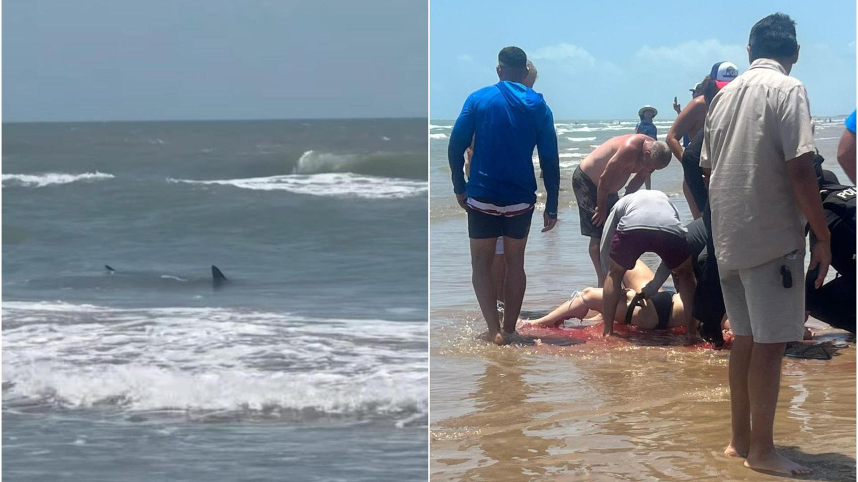 Ataque de un tiburón en la Isla del Padre.