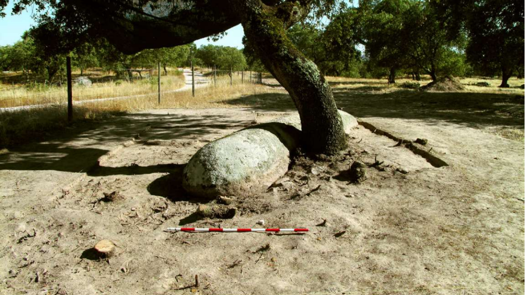 Aspecto del menhir al inicio de las excavaciones en 2016.