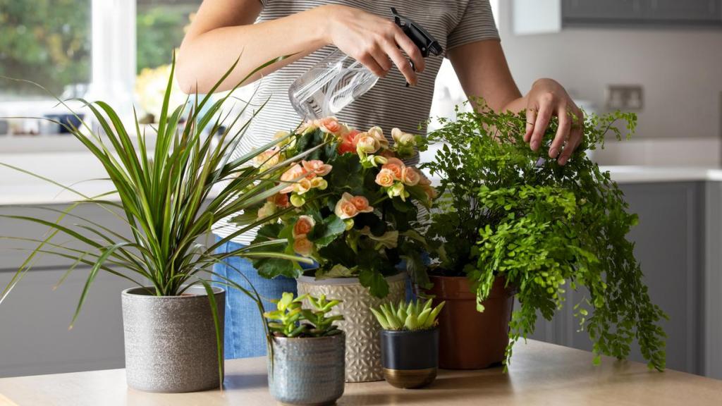 Una mujer regando plantas con spray.