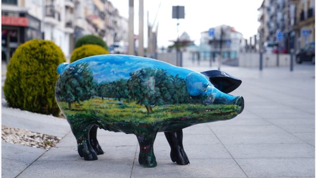 Un cerdo en las calles de la localidad.