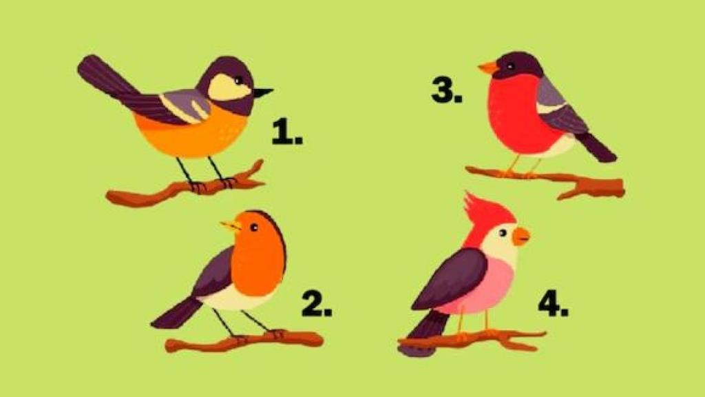 Elige uno de estos pájaros y sabrás si estás enamorado