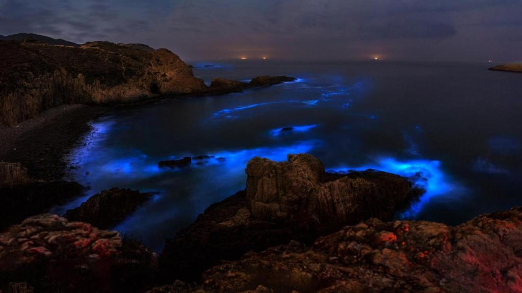Orilla rocosa con bioluminiscencia.