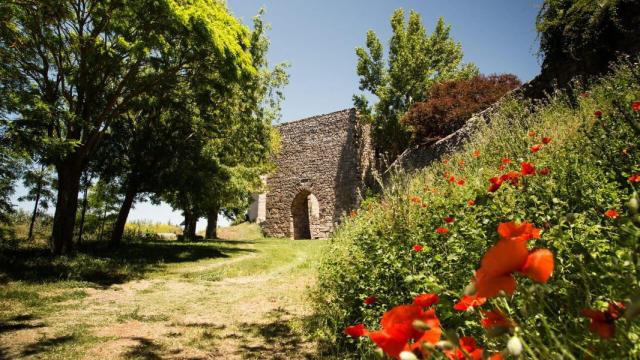 Puerta árabe de Medinaceli