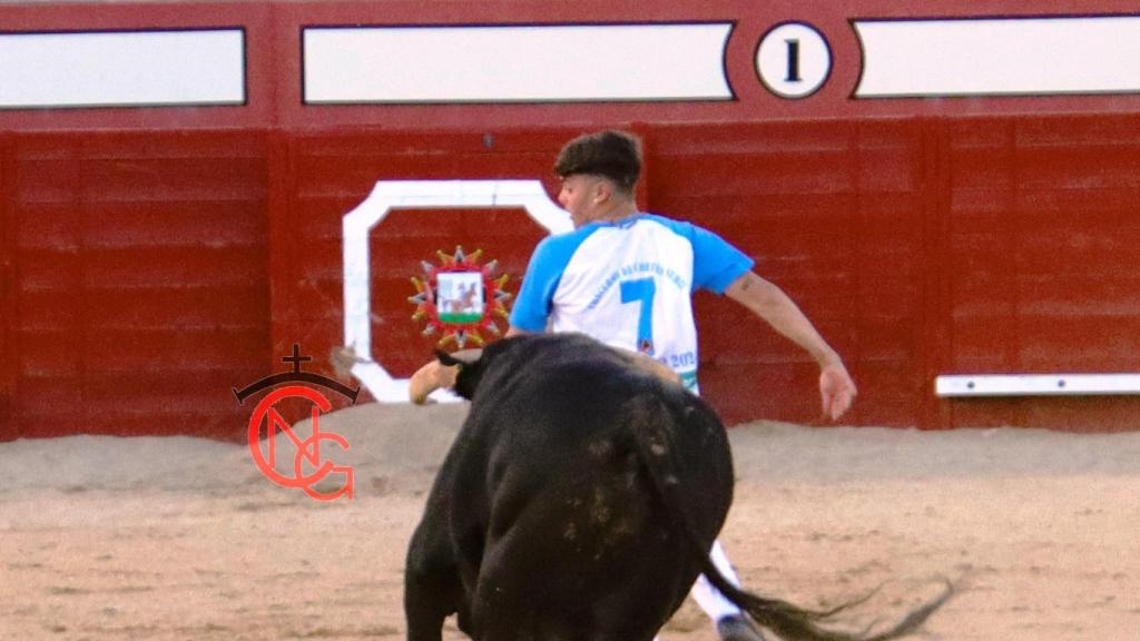 Concurso de cortes en Arévalo