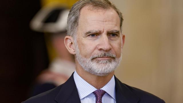 El rey Felipe VI