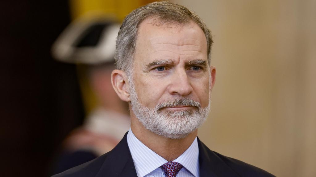 El rey Felipe VI