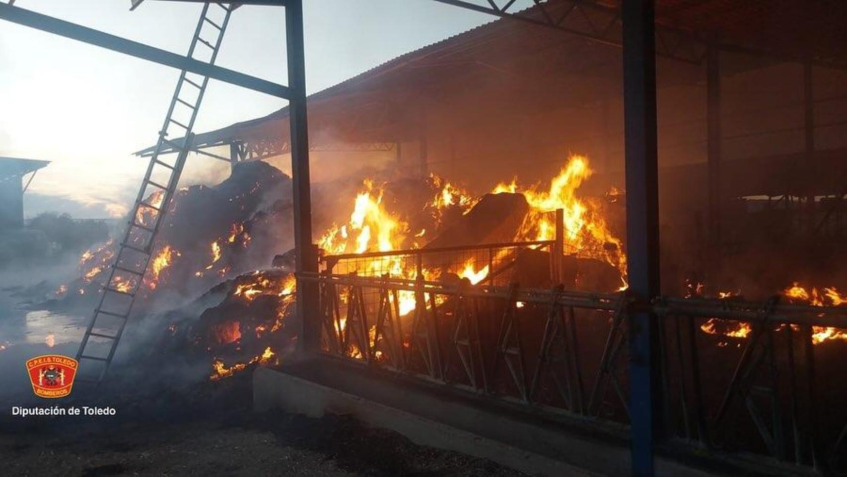 Mueren 16 terneros y arden 120 toneladas de paja en un incendio en Talavera de la Reina