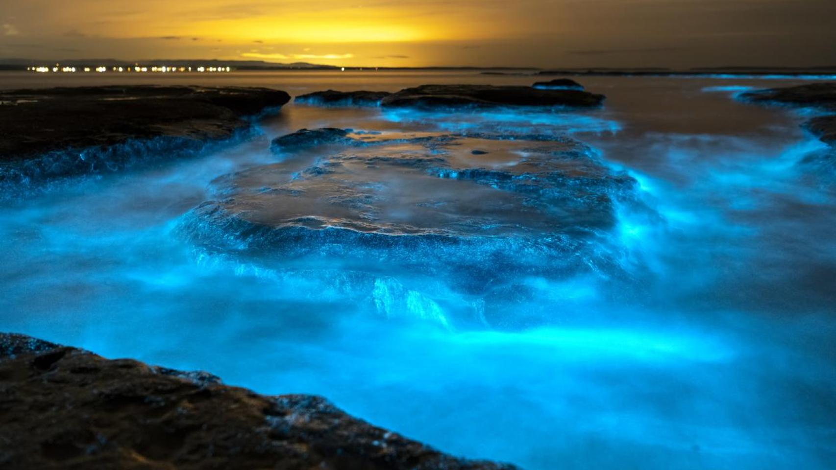 Costa con bioluminescencia.