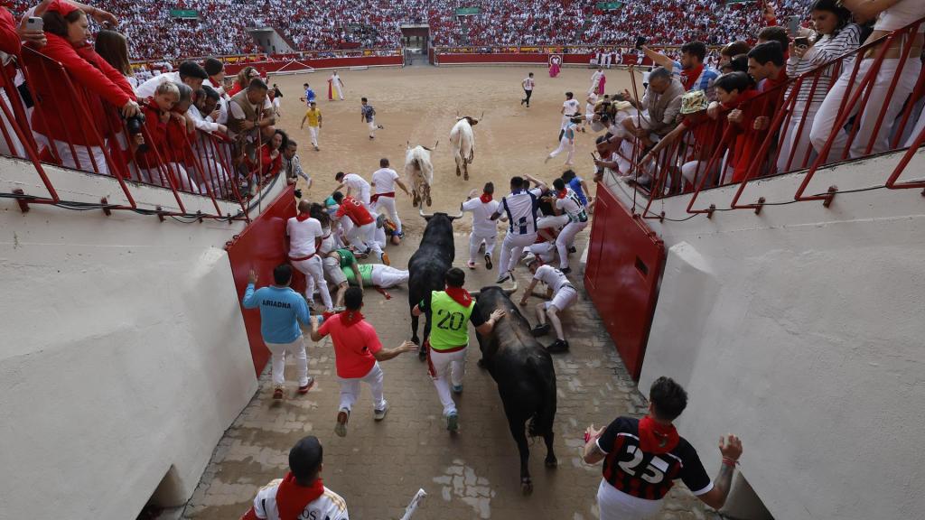 Los toros de la ganadería de Fuente Ymbro entran en la plaza de toros.
