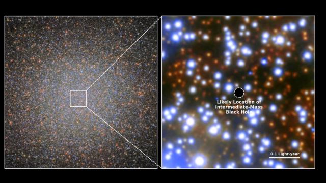 La posición del agujero negro semimasivo en el grupo estelar Omega Centauri. ESA/HUBBLE & NASA, M. HÄBERLE (MPIA)
