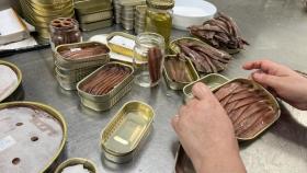 Estas son las anchoas de Cantabria que se podrán degustar en los Juegos Olímpicos de París
