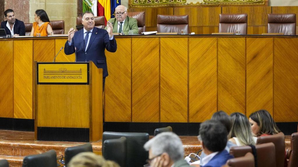 El consejero de Turismo y Cultura, Arturo Bernal, en el pleno del Parlamento andaluz.
