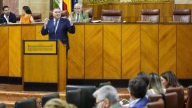 El consejero de Turismo y Cultura, Arturo Bernal, en el pleno del Parlamento andaluz.