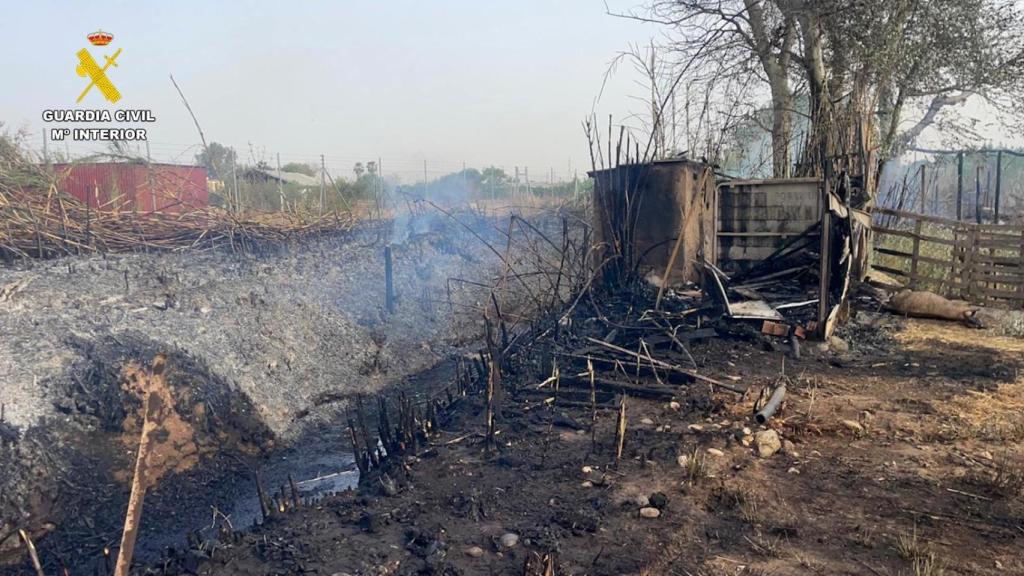 La Guardia Civil detiene al autor de un incendio forestal que provocó la muerte de ganado caprino y otros daños