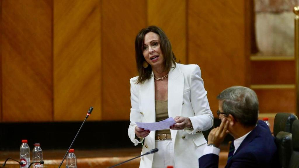 Rocío Díaz, consejera de Fomento de la Junta de Andalucía, este jueves en el Parlamento andaluz.