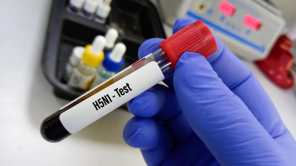 Muestra para las pruebas de la influenza H5N1.