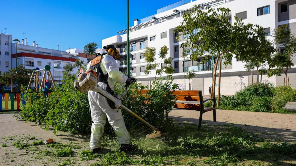 El Ayuntamiento contratará a 83 nuevos trabajadores en verano para reforzar los servicios municipales