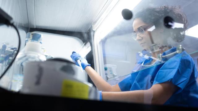 Una mujer trabaja en la sala de criopreservación de células el Hospital Clínic