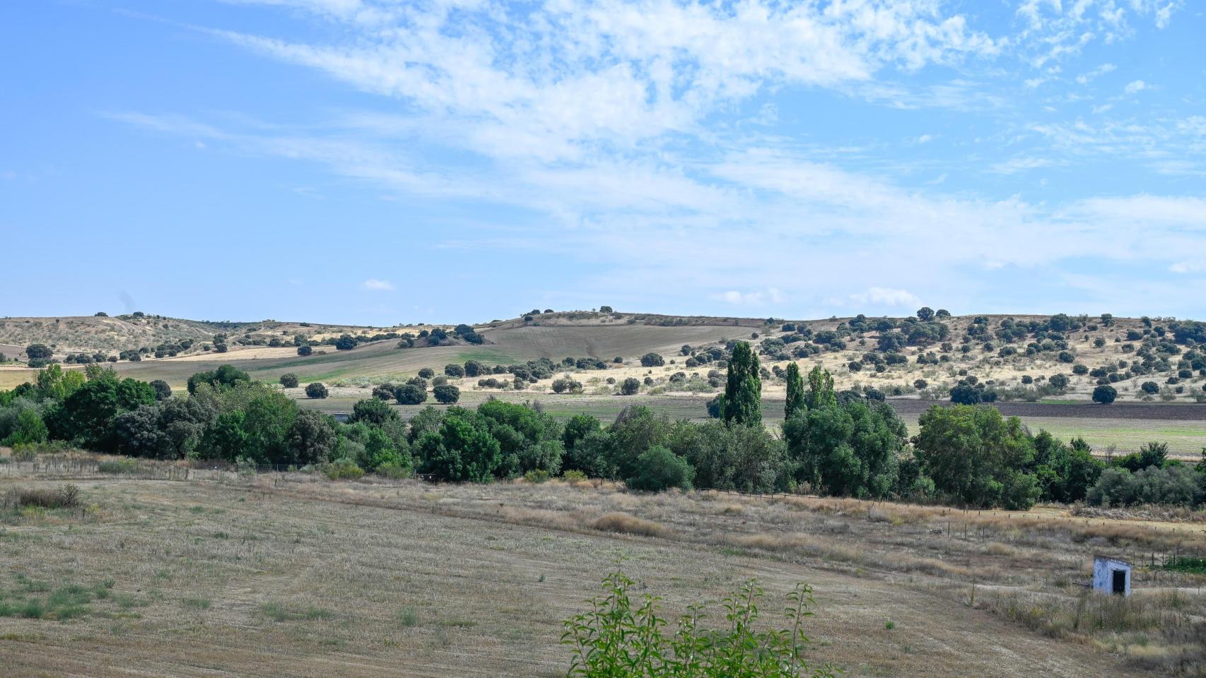 Imagen de los terrenos sobre los que se va a levantar Algete Norte.