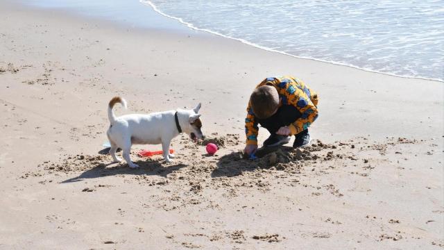 Un niño con un perro en la playa