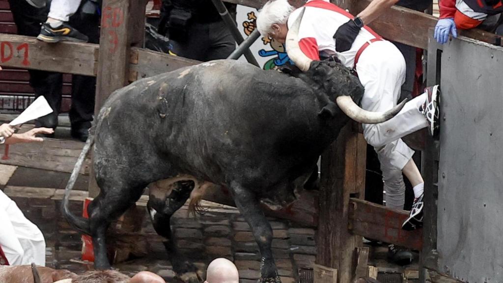 Momento en el que un toro embiste a un corredor.