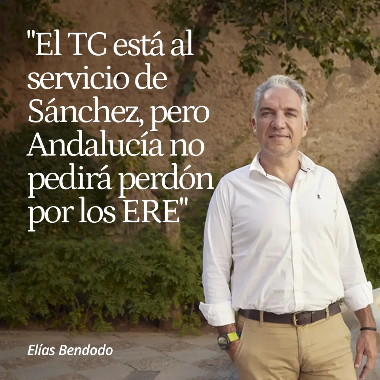Elías Bendodo: "El TC está al servicio de Sánchez, pero Andalucía no va a pedir perdón por los ERE"