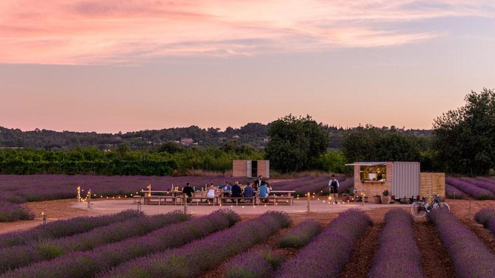 El hotel de Mallorca con cenas de estrella Michelin en el mayor campo de lavandas de Baleares