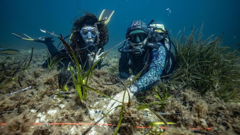 El biólogo Manu San Félix y la periodista Ana de Santos Gilsanz reforestan posidonia en el Parc Natural de Ses Salines (Asociación Vellmari), Formentera.