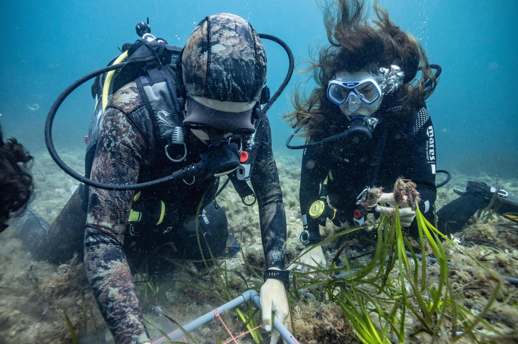 Íñigo San Félix, hijo del biólogo Manu San Félix y la periodista Ana de Santos, reforestando posidonia con un sistema de anclajes.