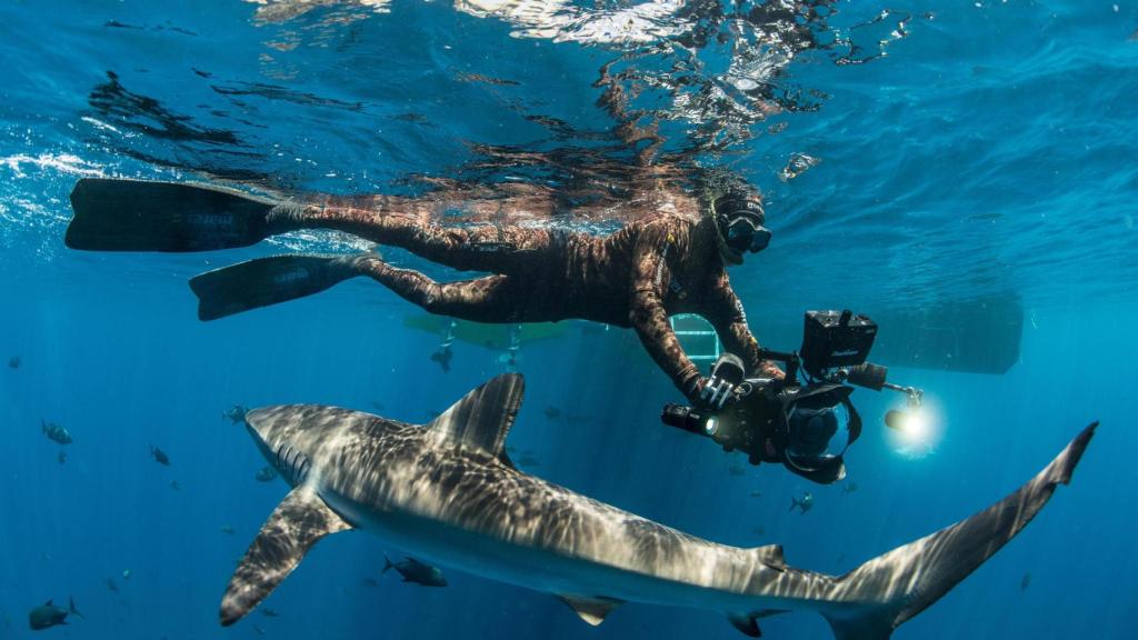 Manu San Félix, grabando silky sharks en la isla de San Benedicto para National Geographic.