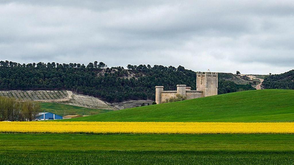 Imagen del castillo de Torrelobatón
