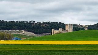 El grito de SOS de un pequeño pueblo vallisoletano de menos de 400 habitantes para salvar su histórico castillo del siglo XV