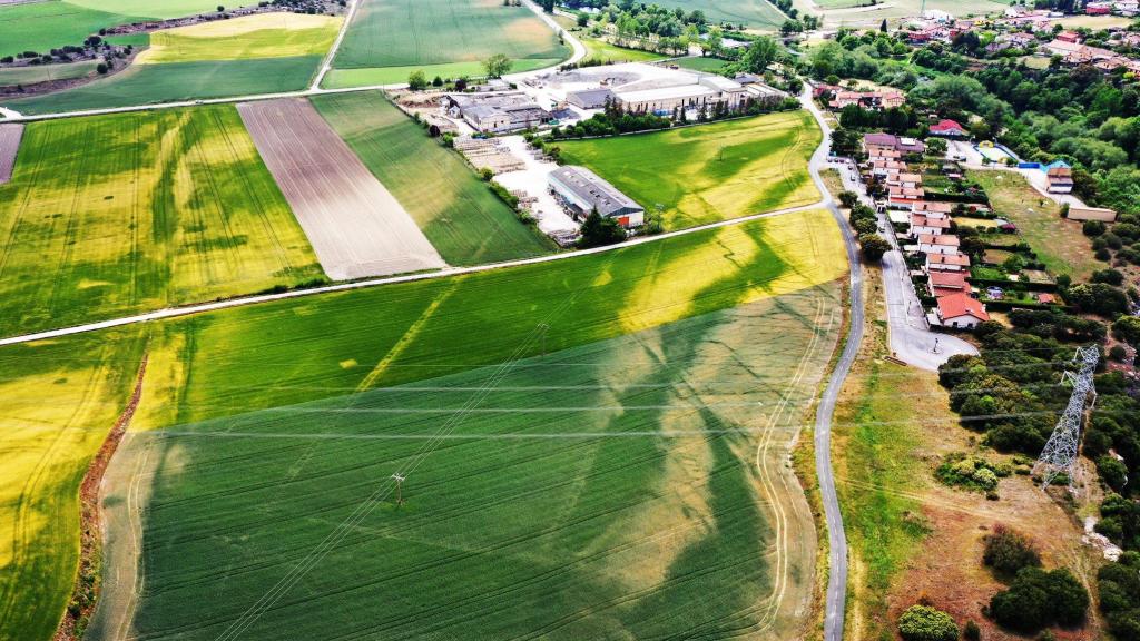 Imagen aérea del circo romano de Iruña-Veleia.