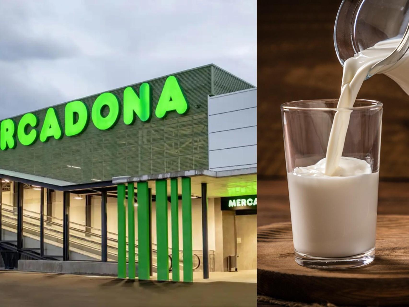 Adios a la leche: esta es la bebida que arrasa por 0,65€ en Mercadona llena  de calcio y vitaminas