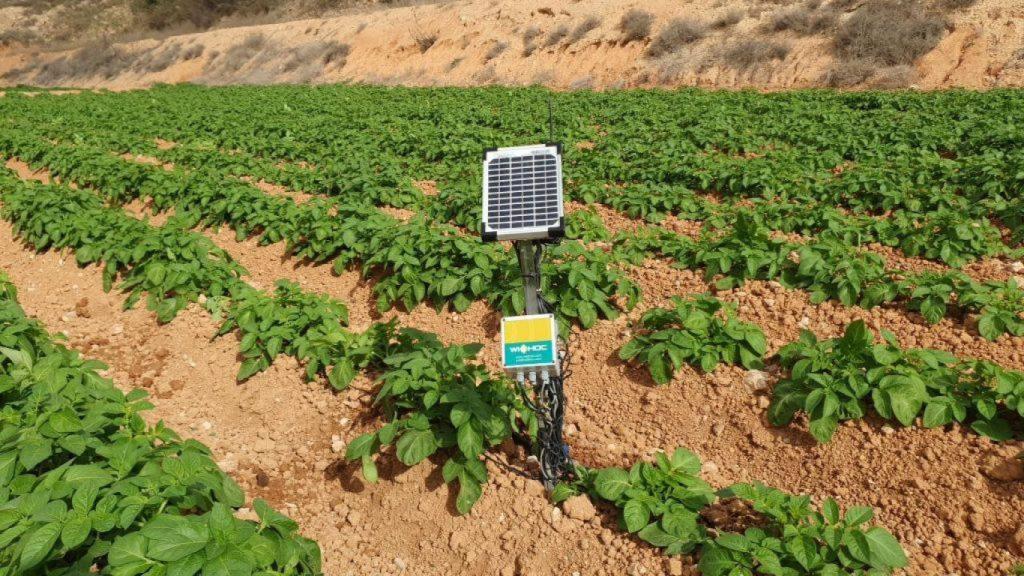 Una herramienta de Widhoc en un campo de Cartagena.