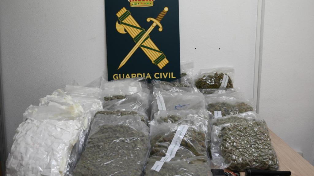 La marihuana intervinida en Villena en la operación Danzón de la Guardia Civil.