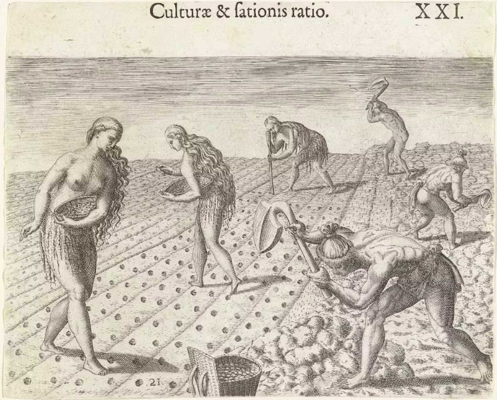 Grabado de Theodor de Bry que retrata la agricultura entre los nativos americanos.