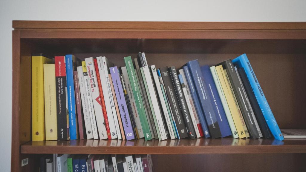Libros en la estantería del despacho de Errejón.