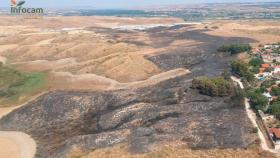 Incendio de Borox (Toledo).